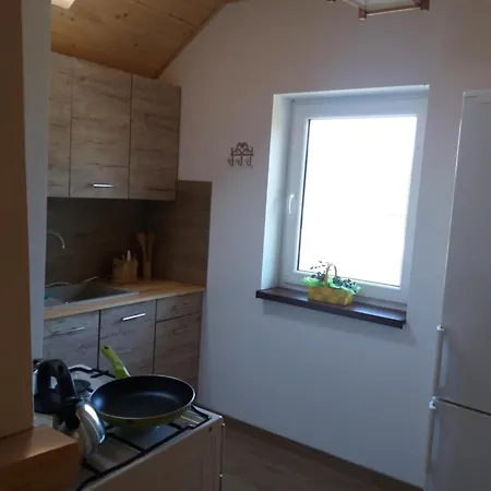 Lesna Malinka Apartamento *