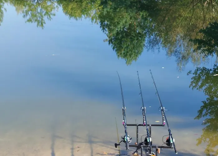 Leśna Malinka Celejow (Garwolin)